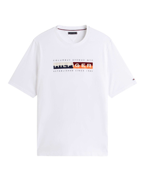 T-shirt grande taille en...