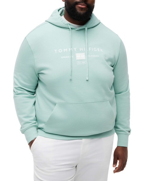 Sweat en coton pistache uni...
