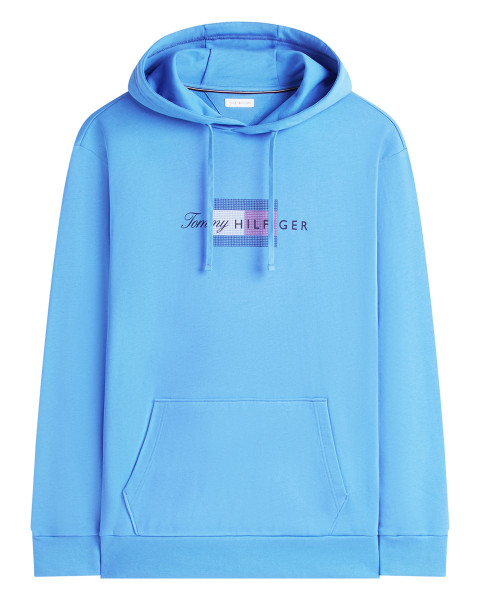 Sweat à capuche bleu uni en...
